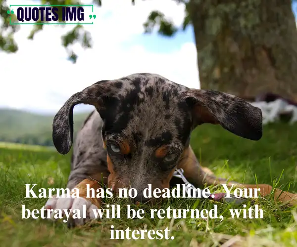 Karma cheating quotes 